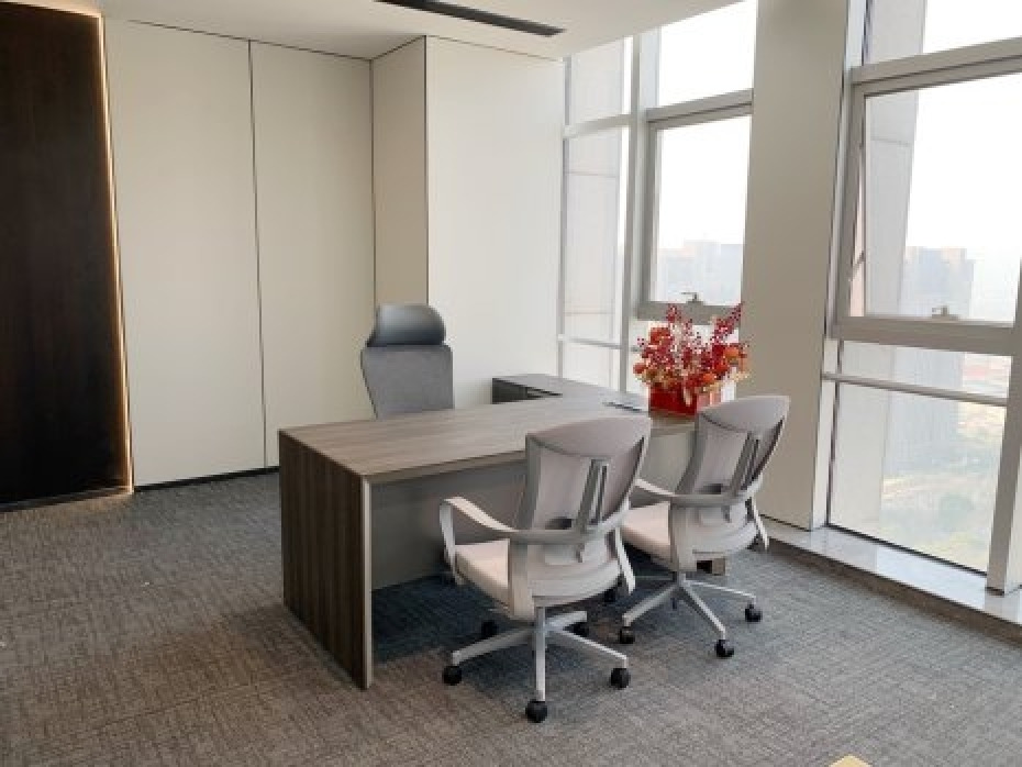 金融街核心地段 嘉业财富中心321平豪装配隔断家具植物