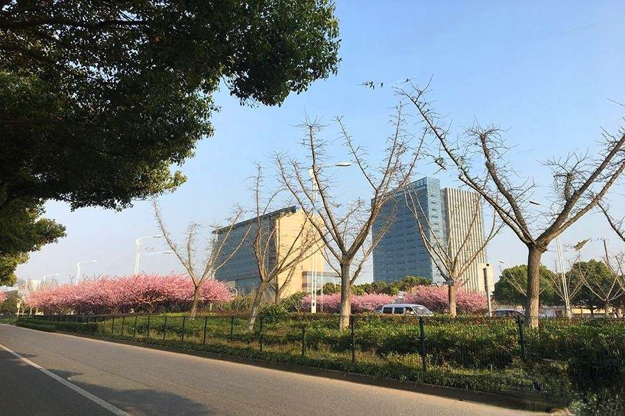 天然居文化坞  栖谷坊