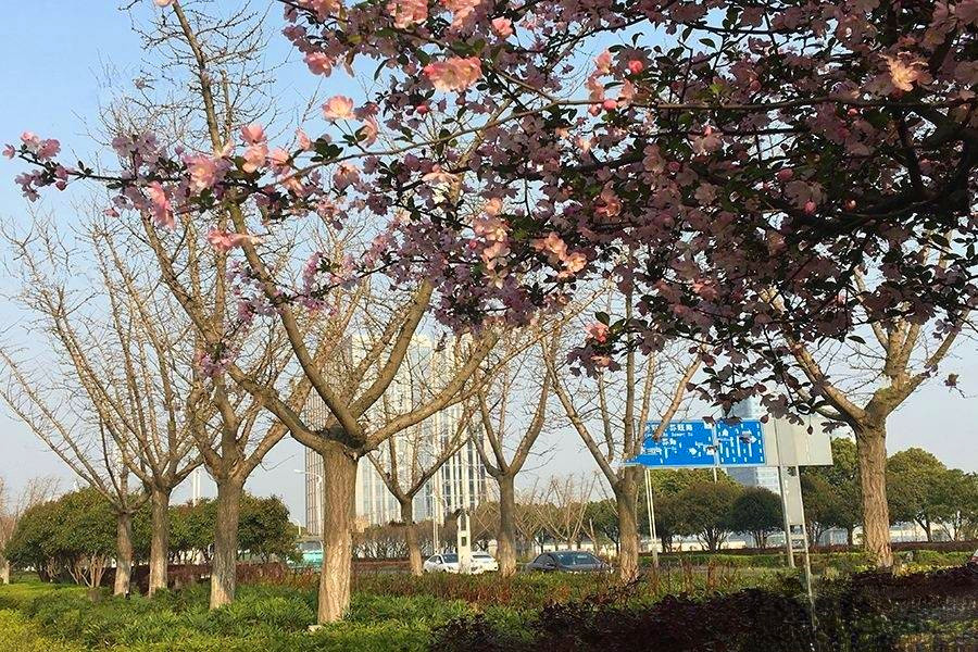 天然居文化坞  栖谷坊