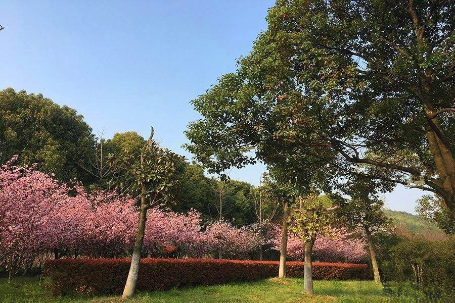 天然居文化坞  栖谷坊