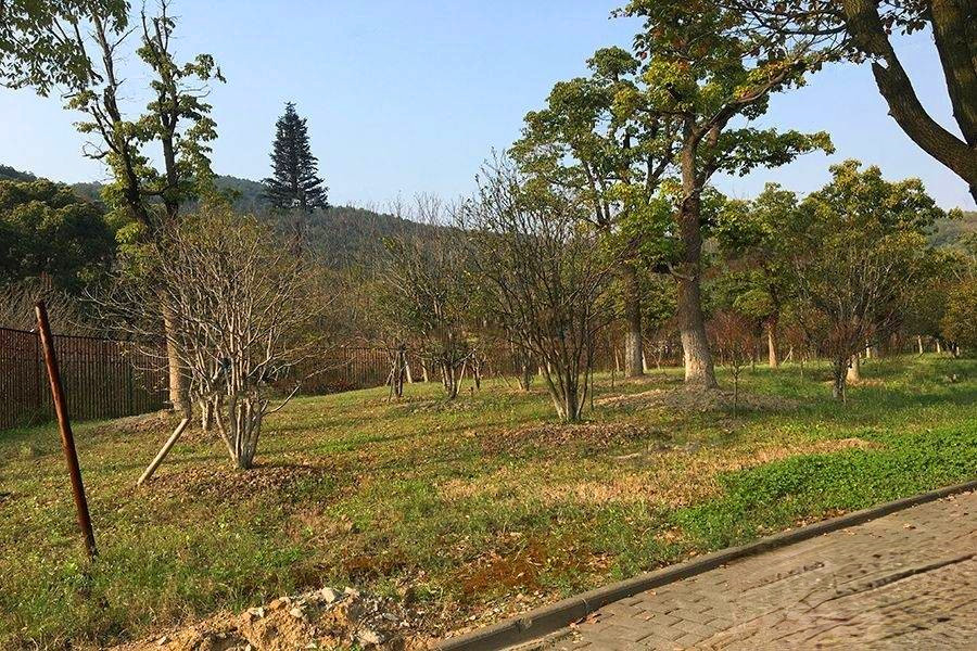 天然居文化坞  栖谷坊