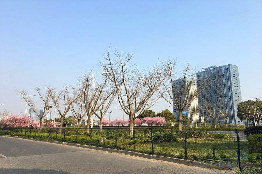 天然居文化坞  栖谷坊