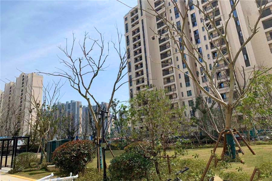 雅戈尔织金华庭