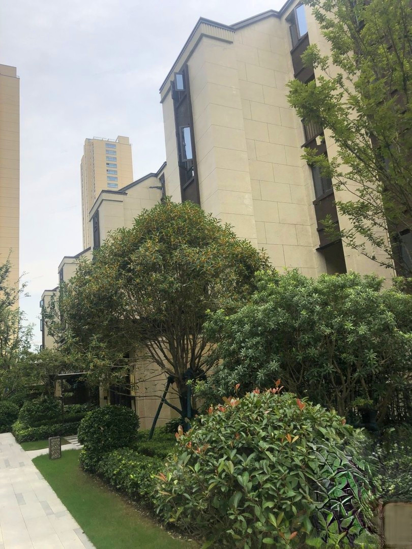 绿都苏和雅集别墅