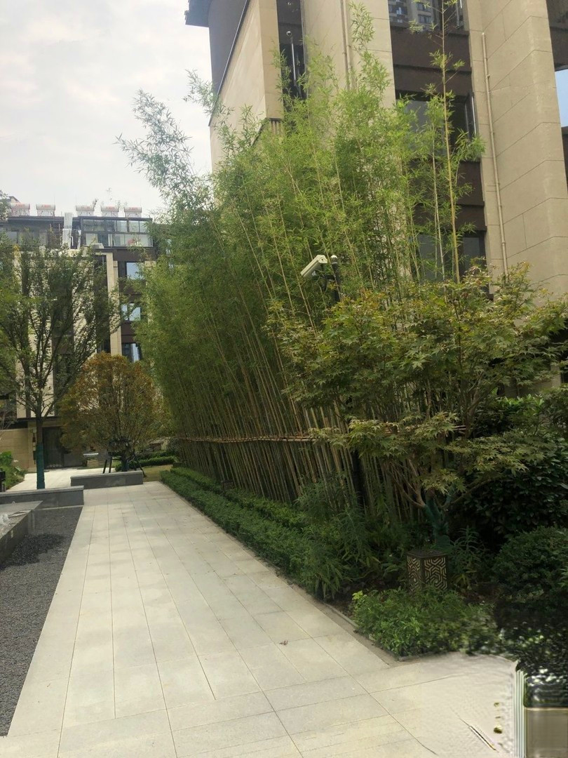 绿都苏和雅集别墅