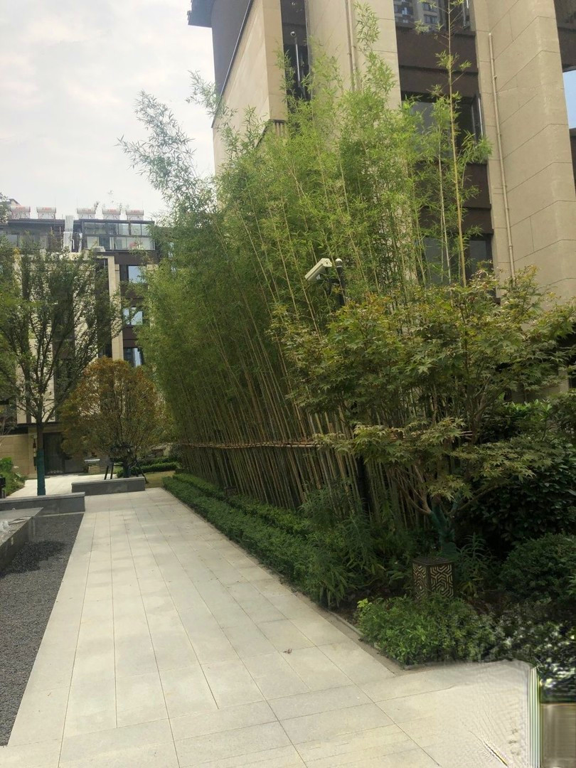 碧桂园伴山澜湾雅苑