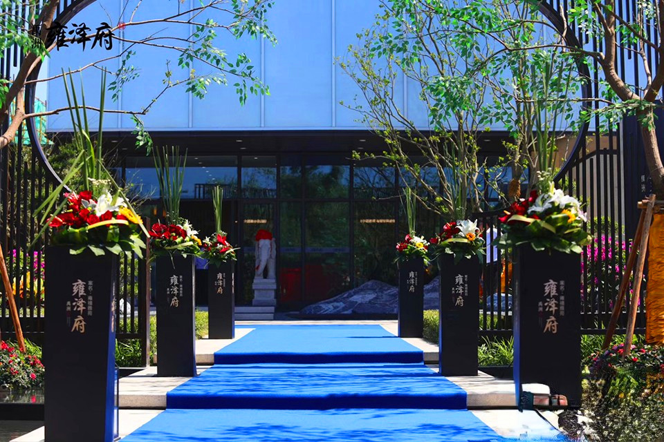 禹洲雍泽府别墅