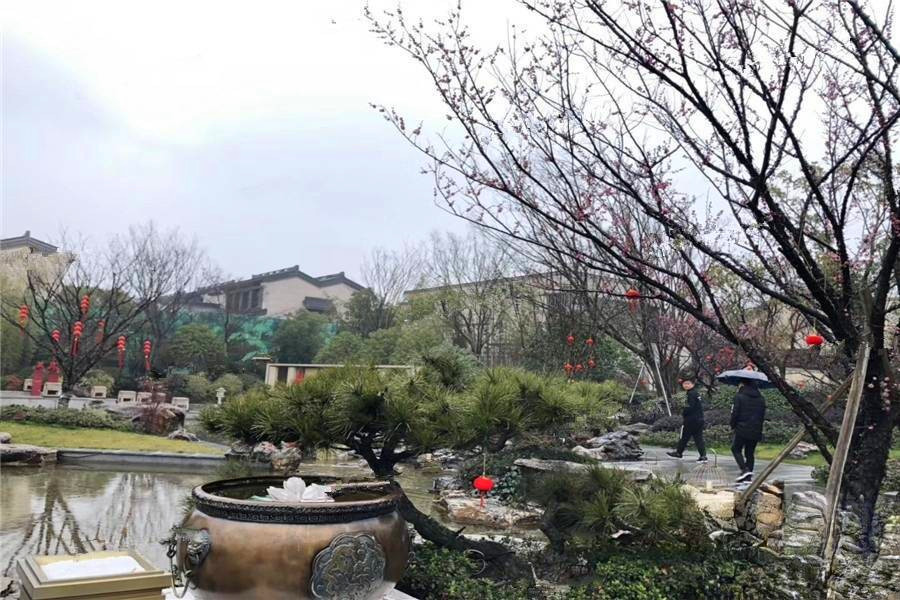 泰禾华发姑苏院子