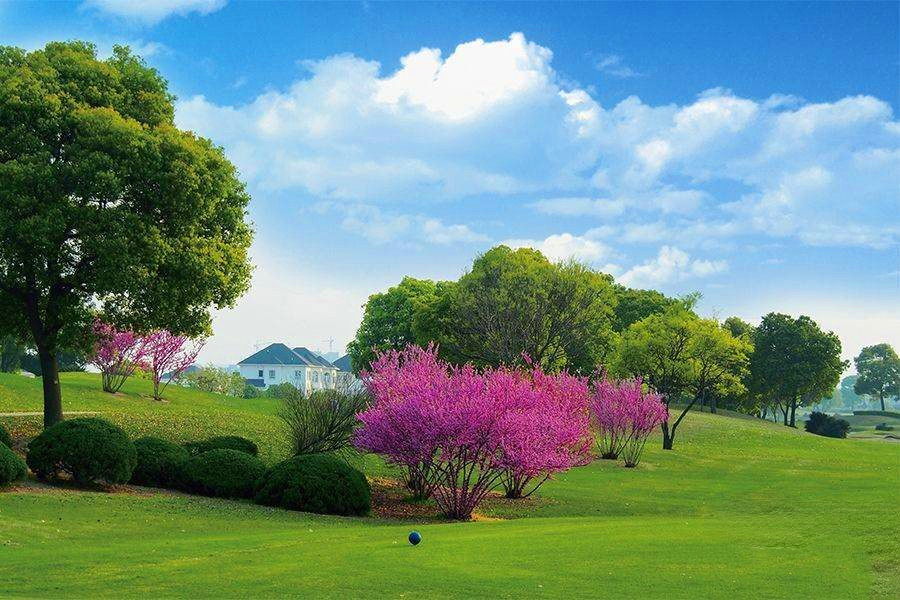 银丽高尔夫别墅