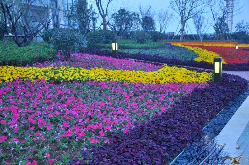 保利独墅西岸别墅