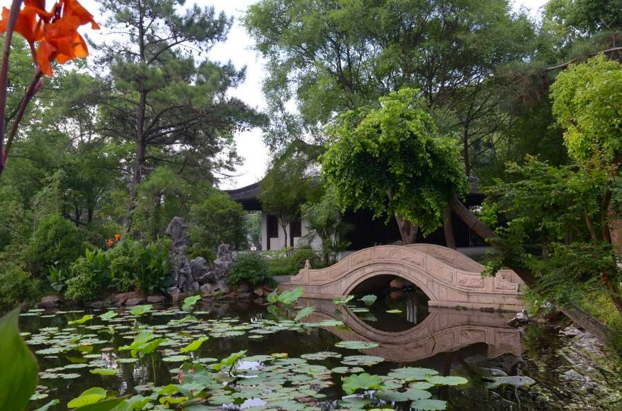 当代ΜΟΜΛ大湖上品