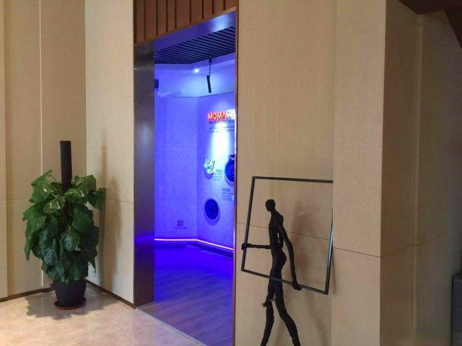 当代ΜΟΜΛ大湖上品