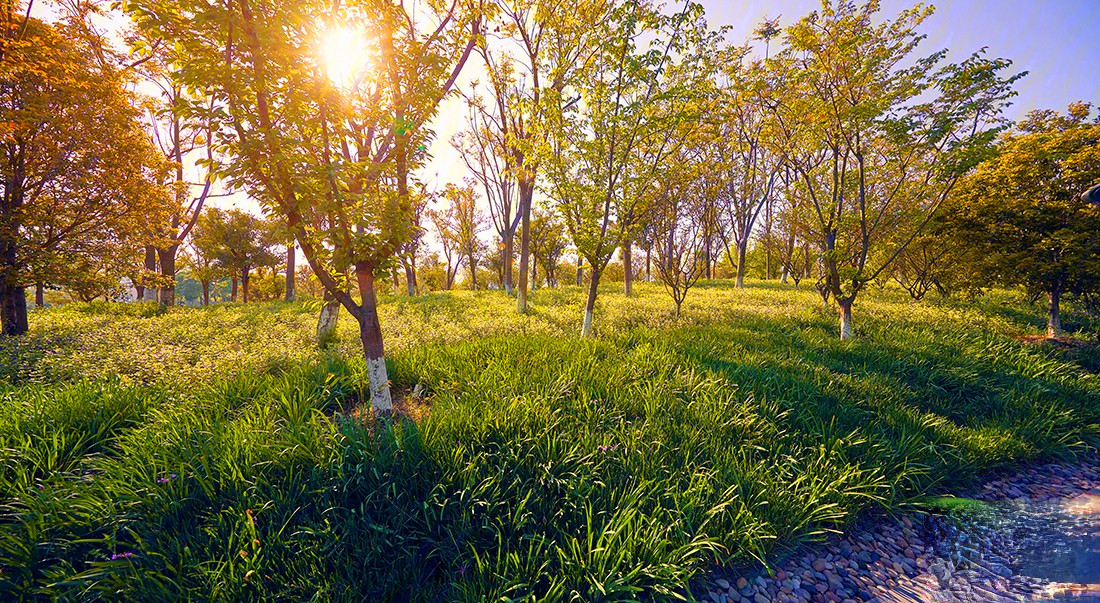 佳兆业湖心溪岸