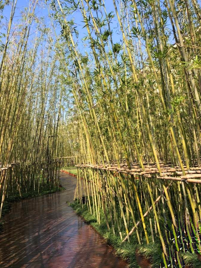 国展和昌芳草庭