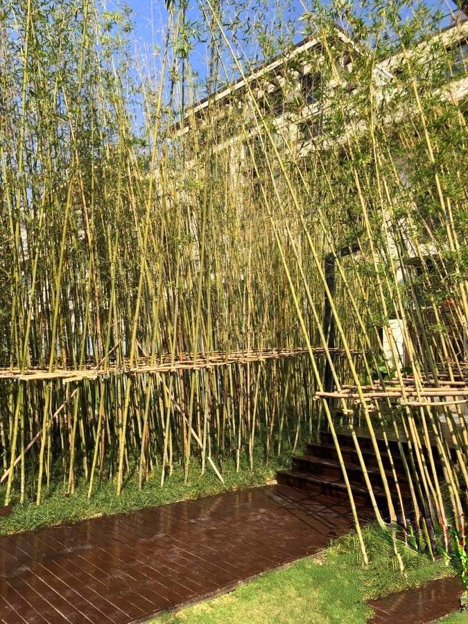 国展和昌芳草庭