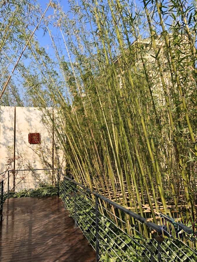 国展和昌芳草庭