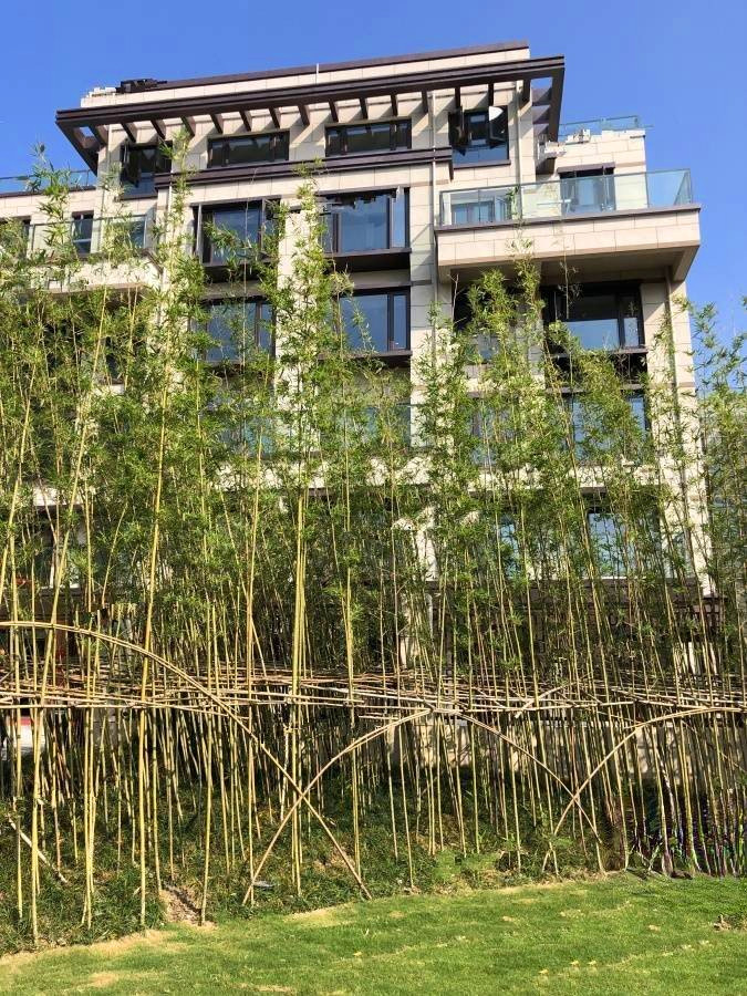 国展和昌芳草庭