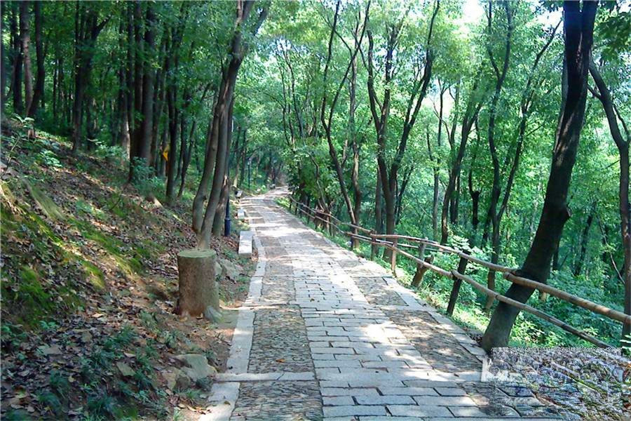 东壹元家居建材广场