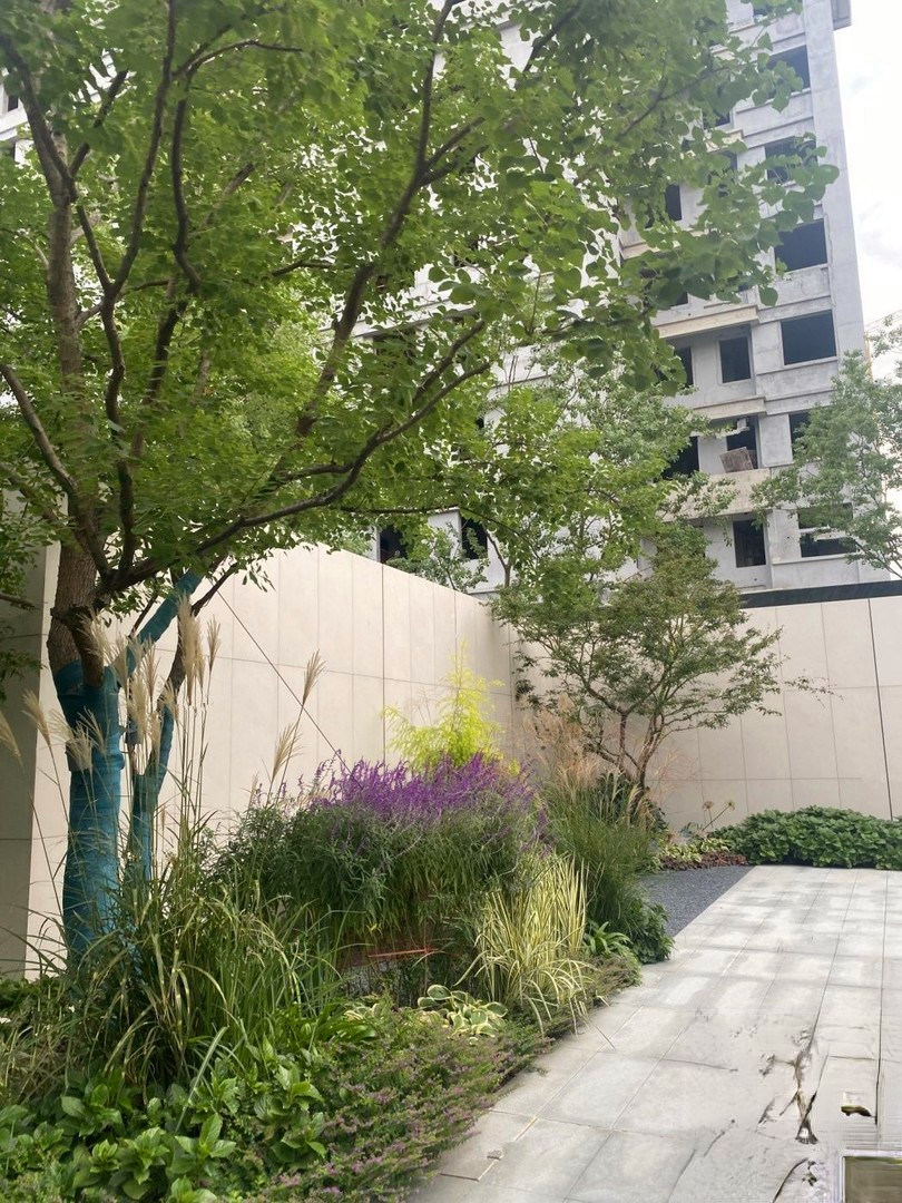 中信泰富玖著云庭