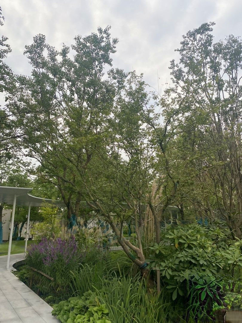 中信泰富玖著云庭