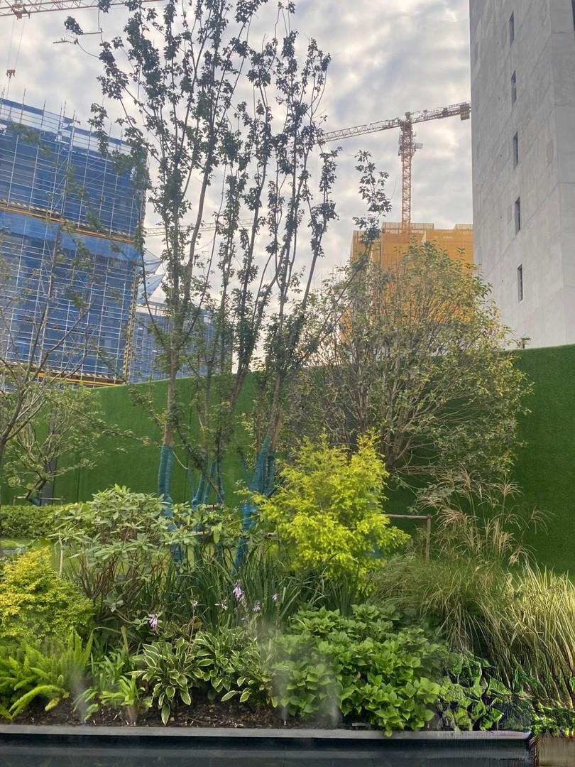 中信泰富玖著云庭