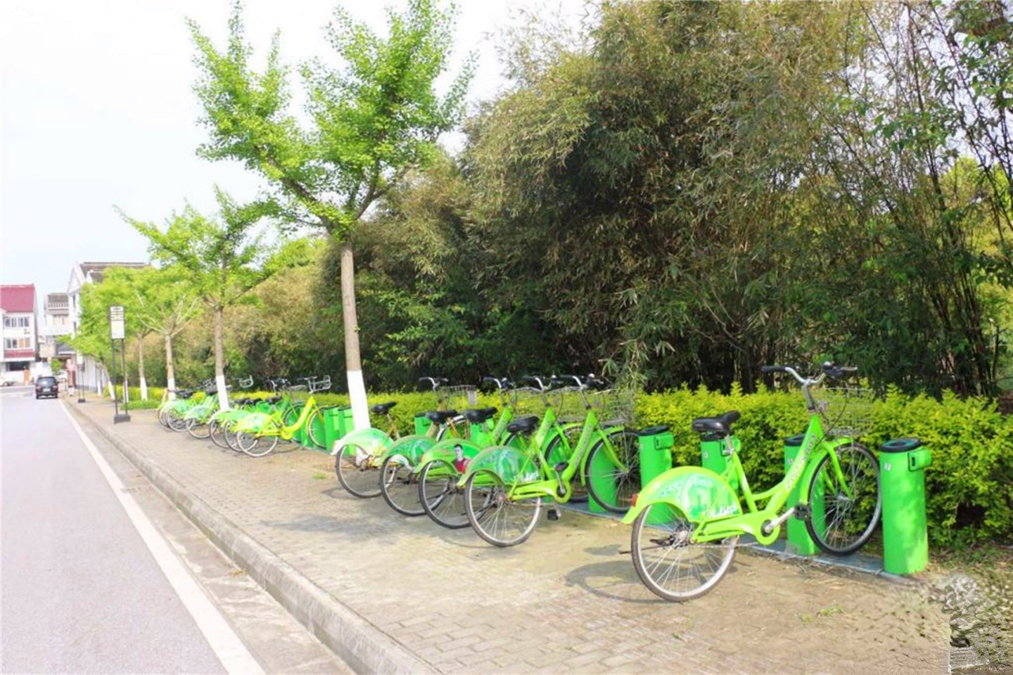 苏里人家春风十里