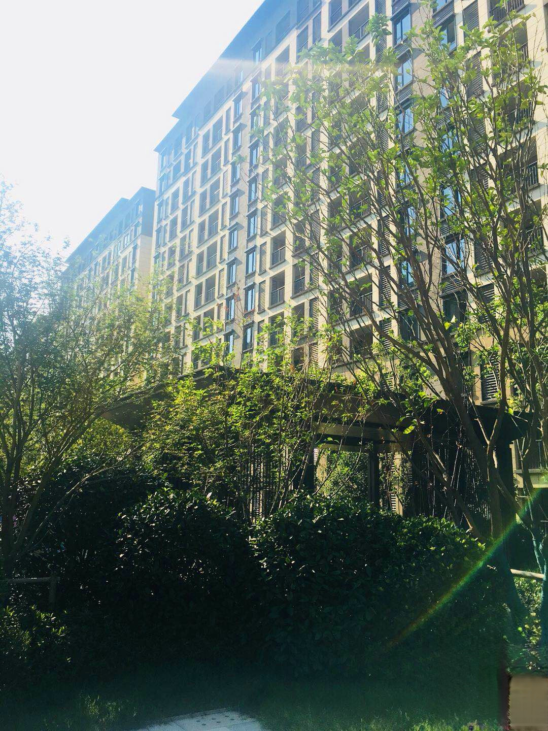 金辉悠步临湖花园