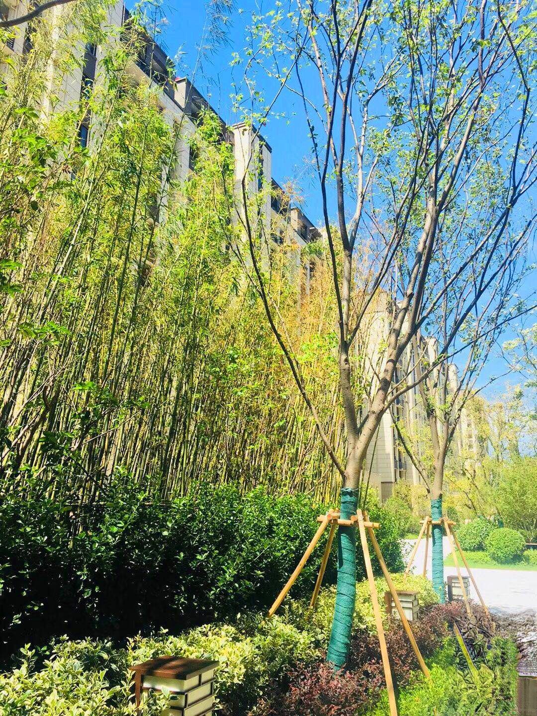 金辉悠步临湖花园