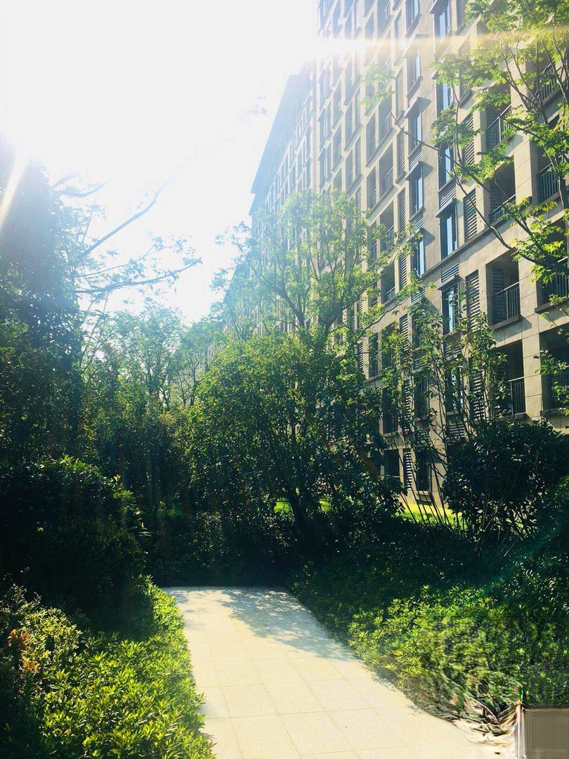 金辉悠步临湖花园