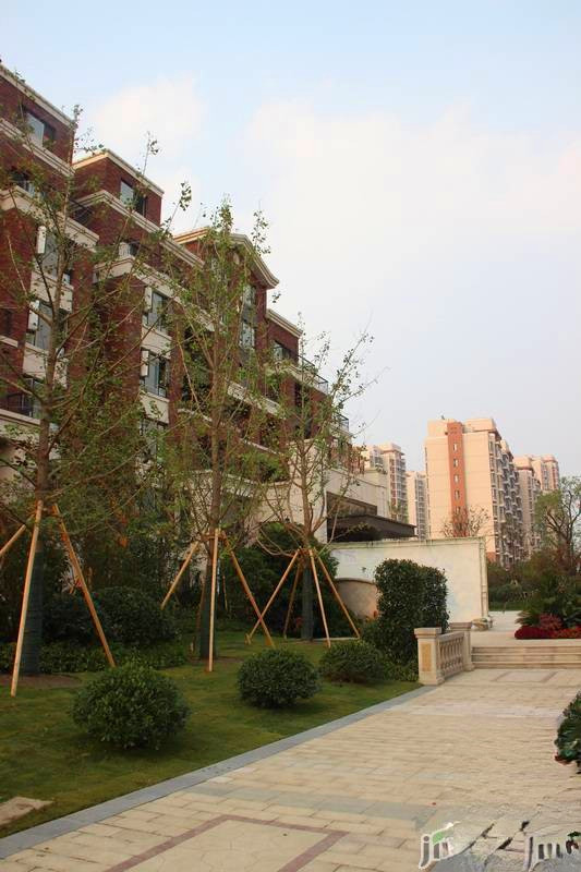 金域隆华庭直销