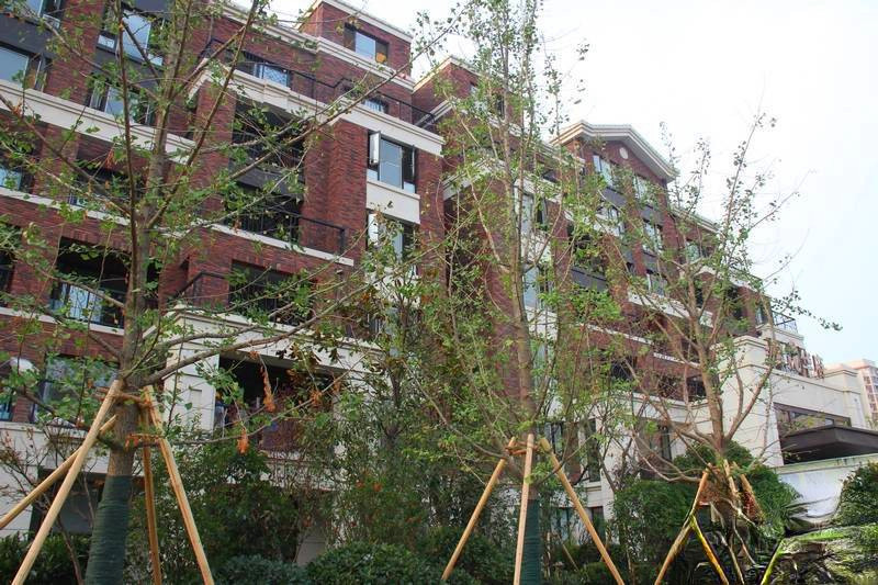 金域隆华庭直销