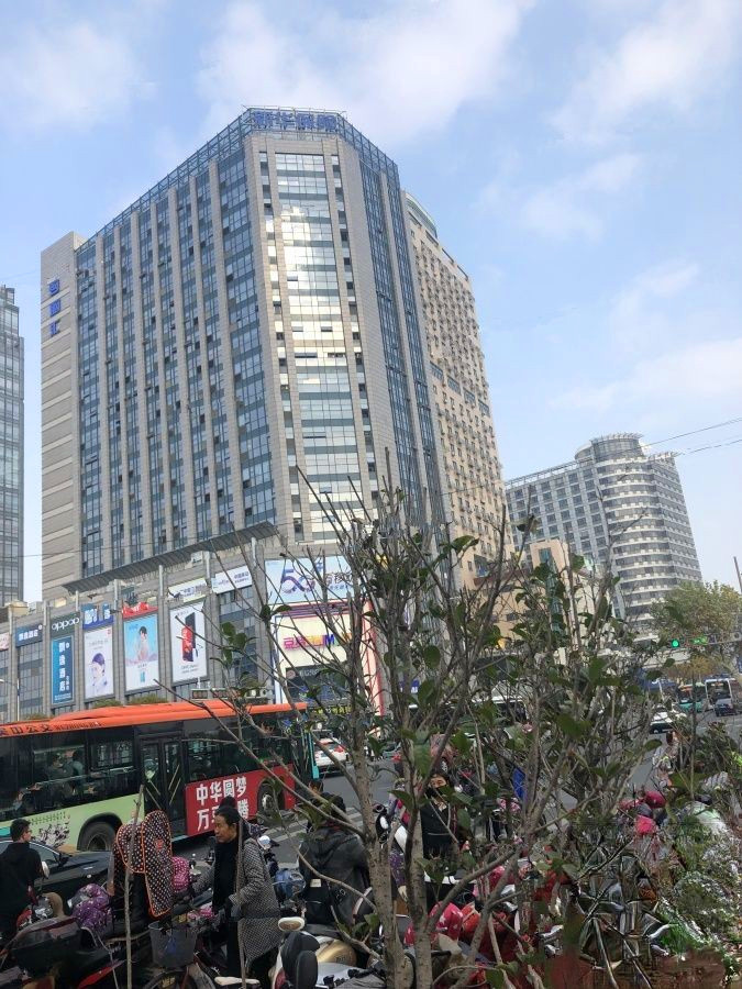 苏州百脑汇科技中心