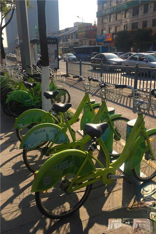 苏州百脑汇科技中心