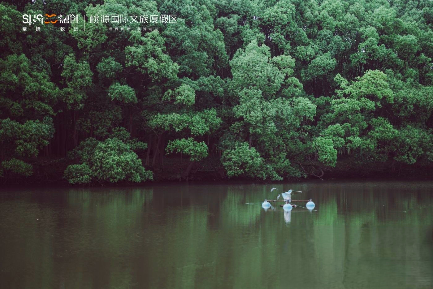 桃源森林国际旅游度假区