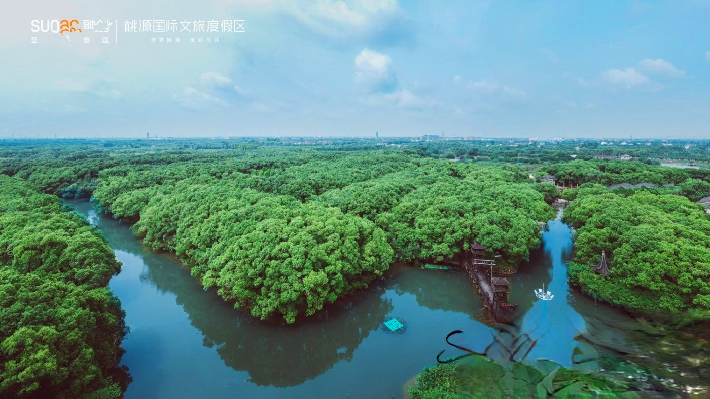 桃源森林国际旅游度假区