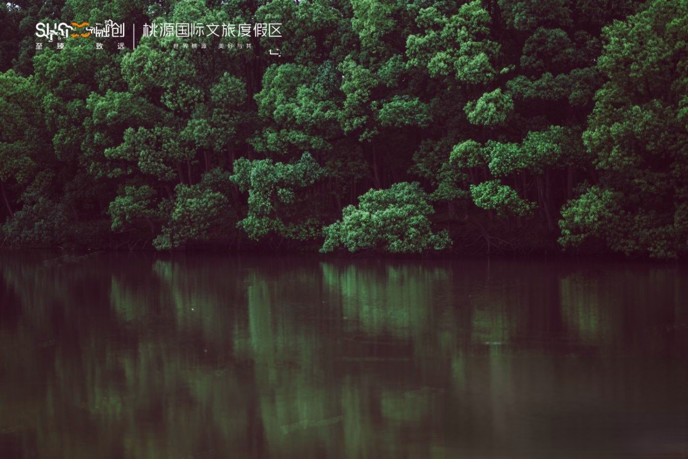 桃源森林国际旅游度假区