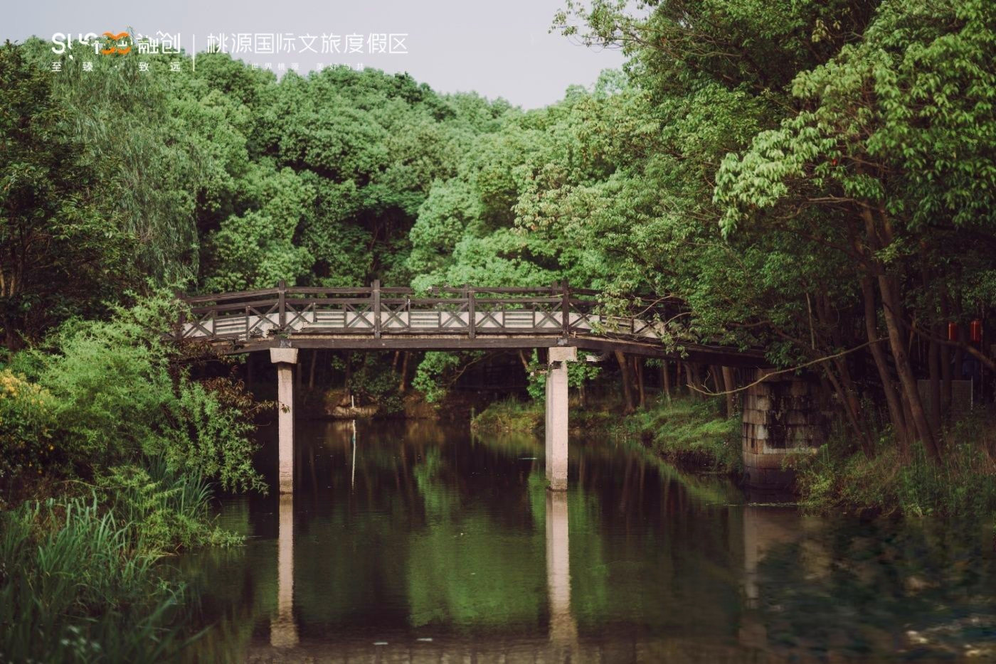 桃源森林国际旅游度假区