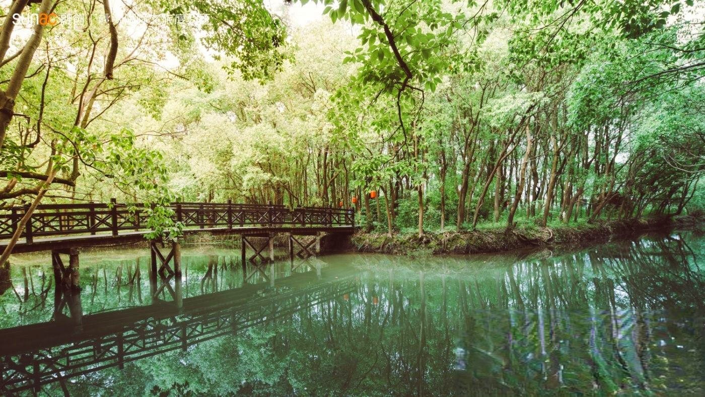 桃源森林国际旅游度假区