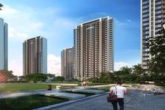 金科源江筑公园里